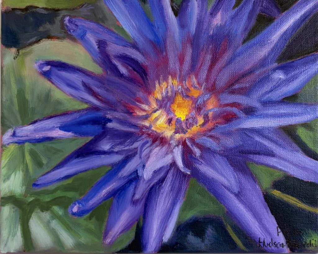 Oil painting of purple waterlily, close up