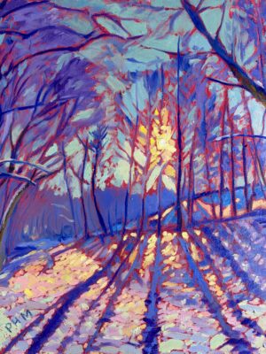 Cherokee Park in Winter no. 1 Canvas Print