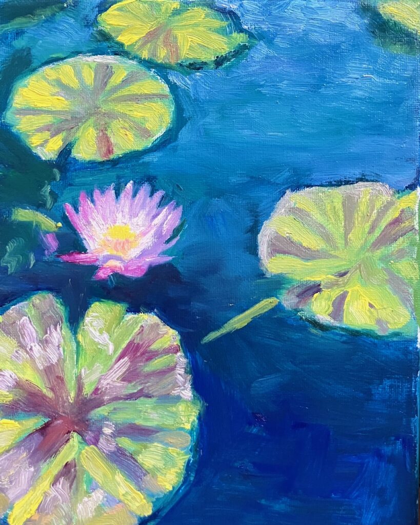 light purple waterlily in pond